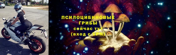 гидропоника Бородино