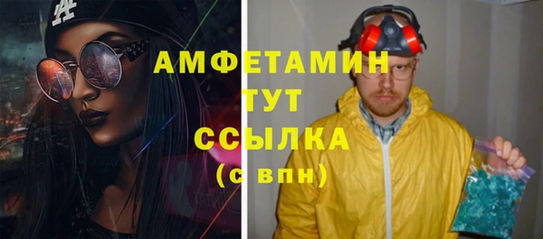 гидропоника Бородино