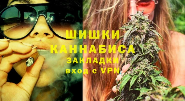 гидропоника Бородино