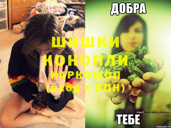 гидропоника Бородино