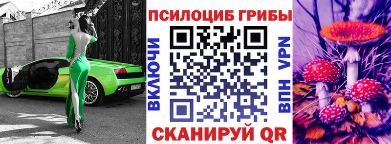 Псилоцибиновые грибы Psilocybe  купить  сайты  Будённовск 